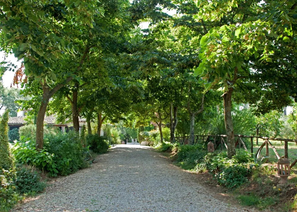 allee-boisee